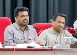 ” பதுளை மாவட்டத்தில் அதிக ஆபத்துள்ள வீடுகளாக 1,376 தோட்ட வீடுகளும் 1,474 கிராமிய வீடுகளும் அடையாளம்”