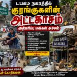 டயகம நகரில் குரங்கு தொலை: மக்கள் அச்சத்தில்!