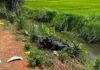 விபத்தில் இளம் தாய் பலி: கிளிநொச்சியில் சோகம்!