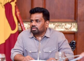 இறப்பர் மற்றும் தேயிலை உற்பத்தி, ஏற்றுமதி குறித்து ஆராய்வு