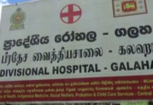 குளவிக்கொட்டுக்கு இலக்காகி தோட்டத் தொழிலாளி பலி: கலஹாவில் சோகம்!