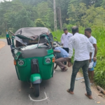 முச்சக்கர வண்டி மீது முறிந்து விழுந்த பைனஸ் மரம் – தந்தை, மகன் தெய்வாதீனமாக உயிர் தப்பினர்