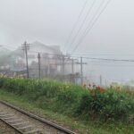 நுவரெலியா மாவட்டத்தில் மழை: கடும் பனிமூட்டம்