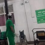 வெசாக் தானசாலை வரிசைமீது கெப் மோதியதில் அறுவர் பலி!