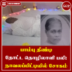 பாம்பு தீண்டி தோட்ட தொழிலாளி பலி: நாவலப்பிட்டியில் சோகம்