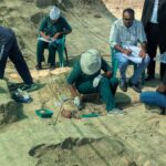செம்மணிப் பேரவலம்: மனித எலும்புக்கூடுகளின் எண்ணிக்கை 302 ஆக உயர்வு