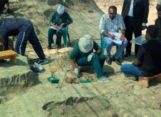 செம்மணிப் பேரவலம்: மனித எலும்புக்கூடுகளின் எண்ணிக்கை 302 ஆக உயர்வு
