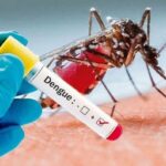 டெங்கு நோயாளர்களின் எண்ணிக்கை அதிகரிப்பு: 35 பேர் உயிரிழப்பு