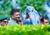 கருத்து கணிப்பு : அநுரவின் மக்கள் செல்வாக்கு அதிகரிப்பு: மலையகத்தில் பேராதரவு