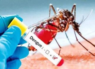 சிறார்களிடையே வேகமாக பரவும் டெங்கு: சுகாதார பிரிவு எச்சரிக்கை