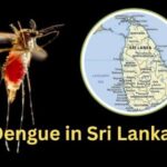 டெங்குவால் இதுவரை 47 பேர் உயிரிழப்பு