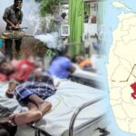 கண்டி மாவட்டத்தில் 5,318 பேர் டெங்குவால் பாதிப்பு