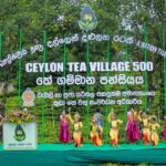 ‘சிலோன் டீ கிராமம்’ திட்டத்தை விரைவுபடுத்த ரூ. 237 மில்லியன் ஒதுக்கீடு