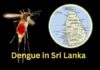 நாட்டில் டெங்கு நோய் தீவிரம்- இரு நாட்களில் 2,278 பேர் பாதிப்பு