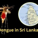நாட்டில் டெங்கு நோய் தீவிரம்- இரு நாட்களில் 2,278 பேர் பாதிப்பு