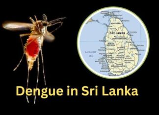 நாளாந்தம் 1000 டெங்கு நோயாளர்கள்: நேற்று மூவர் பலி! டெங்கு ஒழிப்பு சமரில் முப்படைகள்