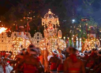 கண்டி பெரஹராவிற்கு சர்வதேச புலமைச்சொத்து பாதுகாப்பு: சிறப்புக்குழு நியமிக்க அமைச்சரவை அனுமதி