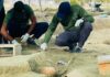செம்மணியில் சிறார்களின் எலும்புக்கூடுகள் மீட்பு: நீதிகோரி நாளை போராட்டம்