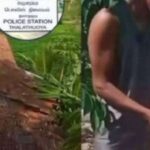 பூனையைத் துன்புறுத்தி வீடியோ வெளியிட்ட இரு இளைஞர்கள் கைது