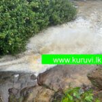 நுவரெலியாவில் தொடர் மழை – கடும் பனிமூட்டம்: கிரகறி வாவியின் வான்கதவு திறப்பு