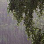 கண்டி, நுவரெலியாவில் இன்று மழை