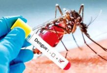 93 ஆயிரத்தை தாண்டியது டெங்கு: 71 பேர் உயிரிழப்பு