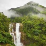 தொடர் விடுமுறையால் களைகட்டும் நுவரெலியா: குவியும் சுற்றுலாப் பயணிகள்