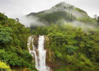 தொடர் விடுமுறையால் களைகட்டும் நுவரெலியா: குவியும் சுற்றுலாப் பயணிகள்