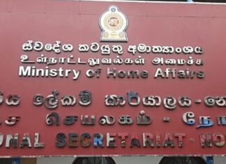 அஸ்வெசும மோசடி: நோர்வூட் பிரதேச செயலகத்தில் மேலும் இருவர் பணி நீக்கம்