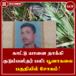 காட்டு யானை தாக்கி குடும்பஸ்தர் பலி: பூனாகலை பகுதியில் சோகம்
