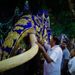 இலங்கை யானையை தேசிய வனவிலங்காக அங்கீகரிக்குமாறு சஜித் கோரிக்கை
