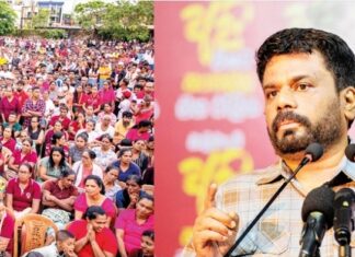 என்பிபியை வலுப்படுத்த நடவடிக்கை: 05 ஆம் திகதி முதல் நேரில் களமிறங்கும் ஜனாதிபதி அநுர