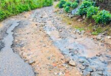 ஹட்டன் – விக்டன் பாதையை புனரமைக்குமாறு கோரிக்கை