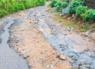 ஹட்டன் – விக்டன் பாதையை புனரமைக்குமாறு கோரிக்கை