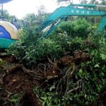 கொட்டகலையில் பலகை தொழிற்சாலை அமைக்க முயற்சி: தொழிலாளர்களின் எதிர்ப்பால் இடைநிறுத்தம்