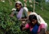 20 ஆண்டுகாலக் காத்திருப்புக்கு முடிவு: தோட்டத் தொழிலாளர்களுக்கு நிலுவை கொடுப்பனவுகளை வழங்க ஏற்பாடு