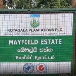 சந்தேகத்துக்கிடமான ஆட்டோ சுற்றிவளைப்பு: மேபீல்ட் சந்தியில் பரபரப்பு