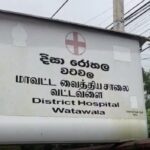 வட்டவளையில் குளவி கொட்டுக்கு இலக்கான 5 தொழிலாளர்கள் வைத்தியசாலையில் அனுமதி