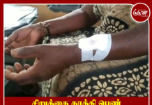 சிறுத்தை தாக்கி பெண் தோட்டத் தொழிலாளி படுகாயம்: பொகவந்தலாவ பகுதியில் சம்பவம்