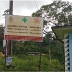 லக்சபான வாழமலை பகுதியில் குளவிக்கொட்டு: நால்வர் பாதிப்பு