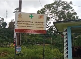 லக்சபான வாழமலை பகுதியில் குளவிக்கொட்டு: நால்வர் பாதிப்பு