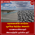 பறவைகளின் சொர்க்க பூமிக்கு நேர்ந்த அவலம்: காணாமல்போகும் அபாயத்தில் முக்கிய ஏரி
