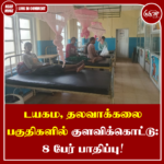 டயகம, தலவாக்கலை பகுதிகளில் குளவிக்கொட்டு: 8 பேர் பாதிப்பு