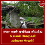 அரச மரம் முறிந்து விழுந்து களுத்துறையில் 5 லயன் அறைகள் முற்றாக சேதம்!